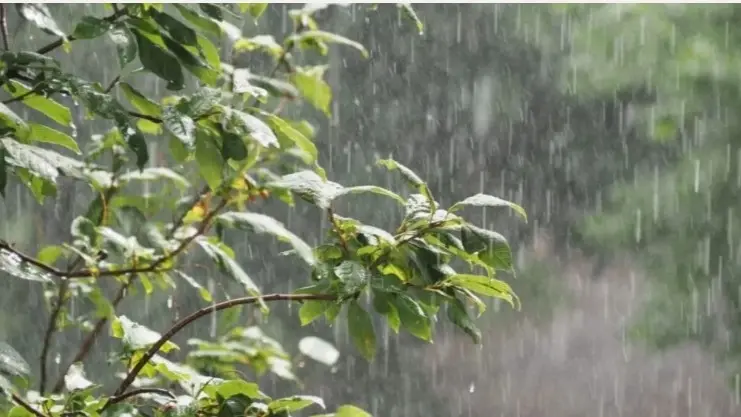 أمطار رعدية على هذه الولايات في الجزائر.. نهاية أسبوع باردة