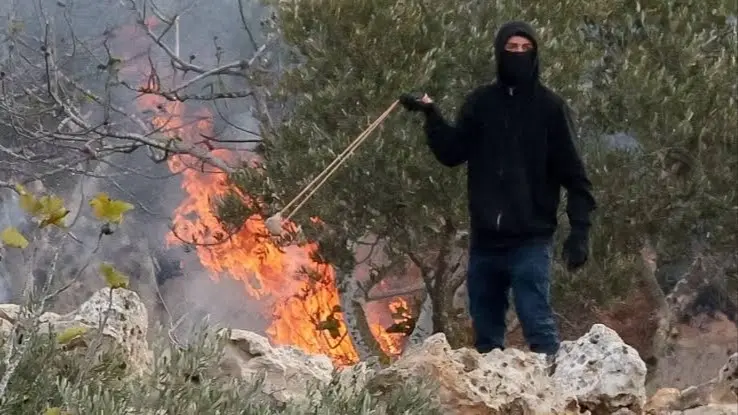 إيطاليا تطالب إسرائيل بالإفراج عن 5 ناشطات.. ما القصة؟