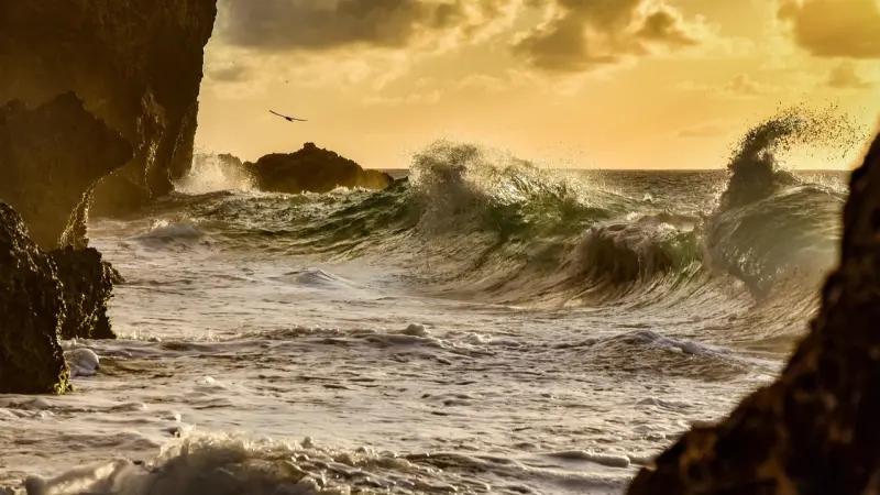 تحذيرات من تسونامي.. ما سبب زلزال البحر الكاريبي؟