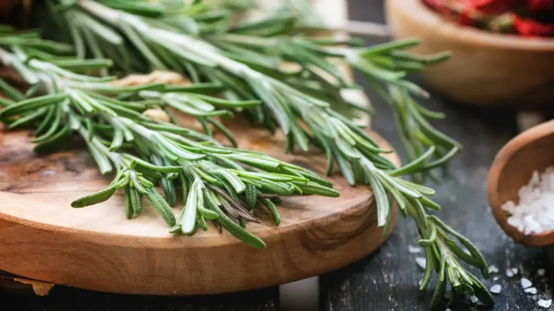 فوائد إكليل الجبل للشعر.. ما هي؟