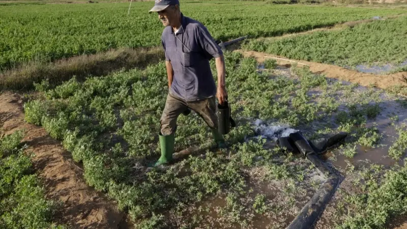 تركيا.. إلغاء الرسوم الجمركية على سلع تحتوي على اليوريا لحماية الزراعة