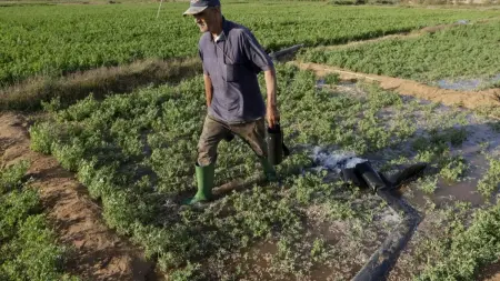 related_news_inside_blogsتركيا.. إلغاء الرسوم الجمركية على سلع تحتوي على اليوريا لحماية الزراعة