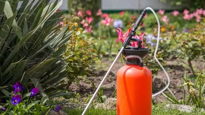 للرجال.. التعرض للمبيدات الحشرية يضر بجودة الحيوانات المنوية