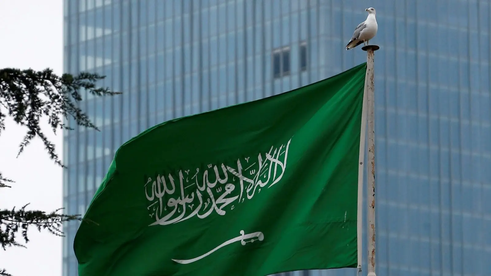 السعودية أعلنت التشكيل الجديد لمجالس المناطق (رويترز) السعودية أعلنت التشكيل الجديد لمجالس المناطق (رويترز)
