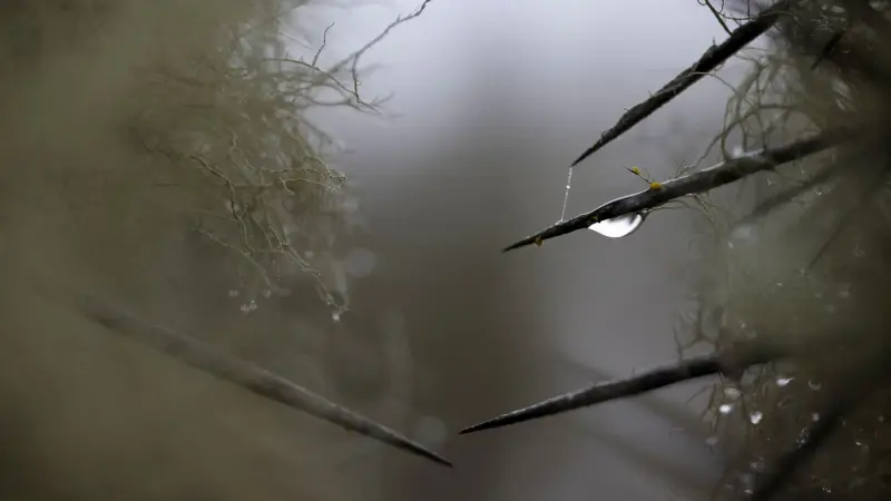 صور - ماء من الهواء.. باحثون يسعون لزراعة أكثر صحاري العالم جفافا