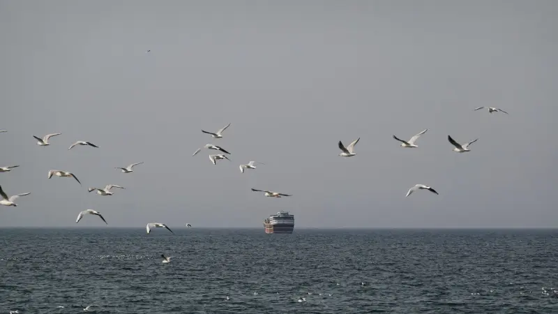 توقف حركة السفن حول إيران يثير اضطرابا عالميا في الملاحة