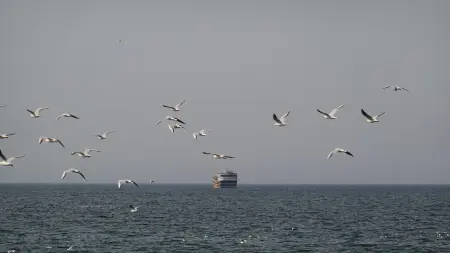 توقف حركة السفن حول إيران يثير اضطرابا عالميا في الملاحة