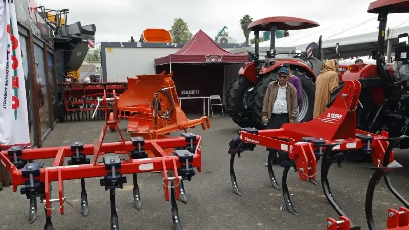 الذكاء الاصطناعي يعيد تشكيل قطاع الزراعة في المغرب