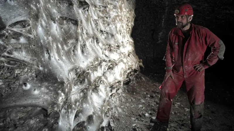 صور - مستعمرة صادمة.. أكثر من 100 ألف عنكبوت في كهف