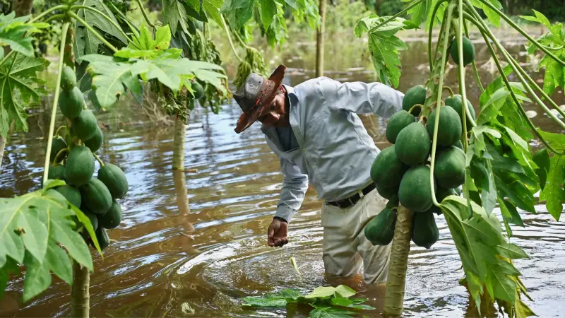 نزيف الخسائر مستمر.. الأمطار تضرب قطاع الزراعة في إسبانيا والبرتغال