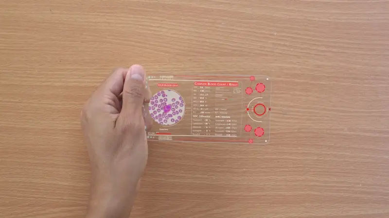 فقدان هذا الجين يرتبط بالعقم عند الذكور