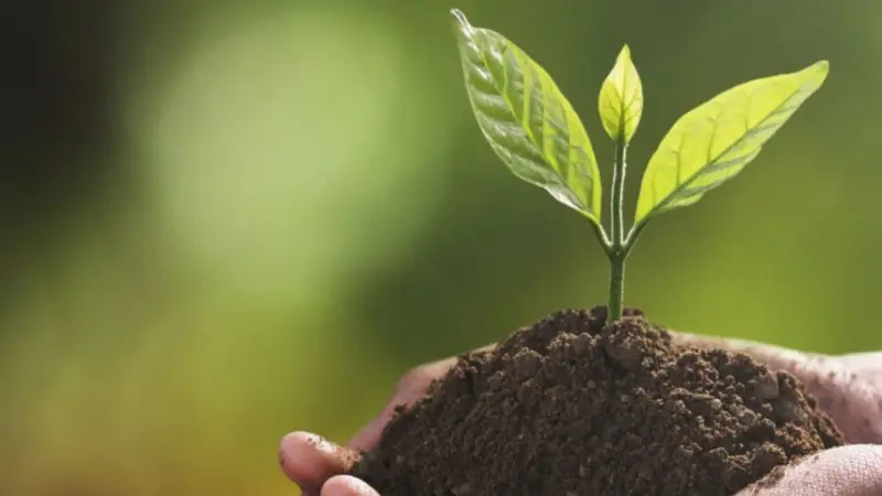 خطوات الاستعلام عن دعم ريف 1446 بالسعودية وشروط التسجيل