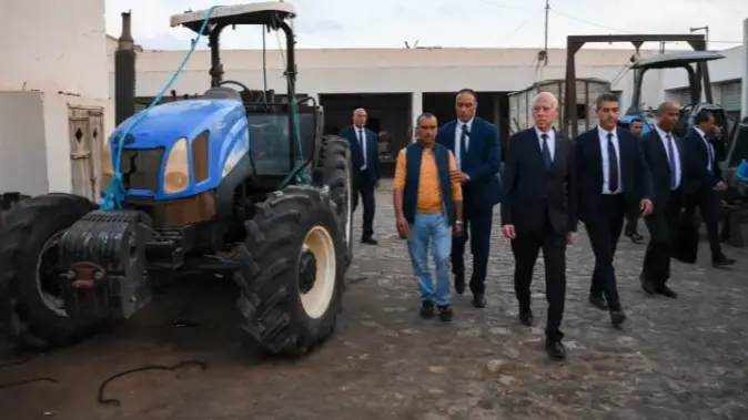 ثاني أكبر غابة زيتون عالميا.. ما هو هنشير الشعّال الذي أحدث ضجة كبيرة في تونس؟