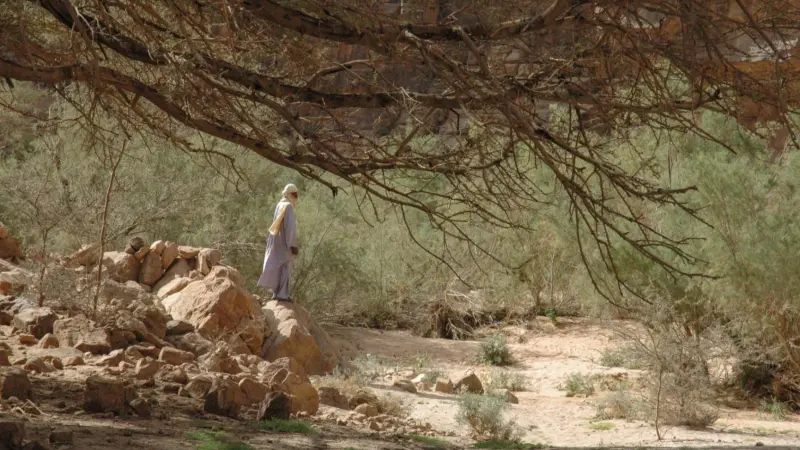 الحرارة تُلامس الـ50 في الجزائر.. والأمن المائي بخطر!