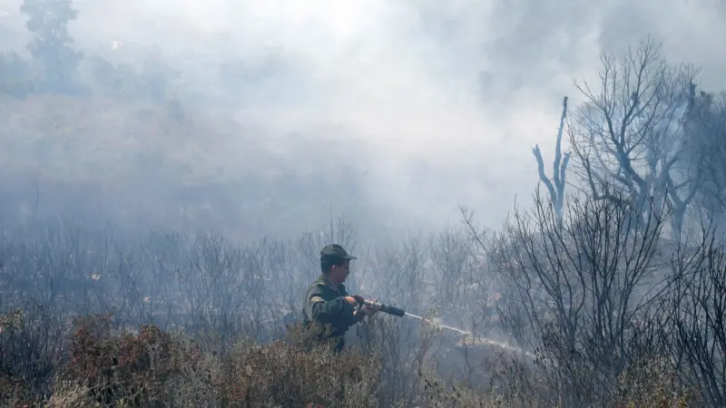 اندلاع حرائق غابات ضخمة في الجزائر