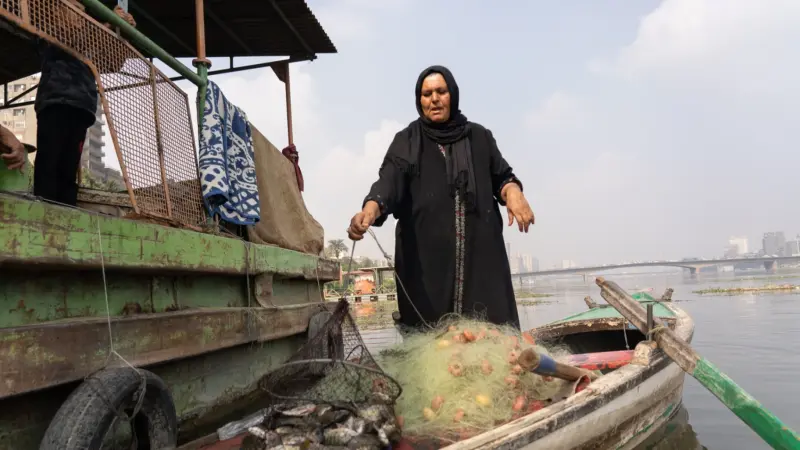 انخفضت أسعارها.. هل نجحت حملات مقاطعة الأسماك في مصر؟