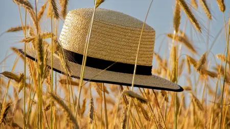 related_news_inside_blogsدراسة: موجات الحر الشديدة قد تسرّع الشيخوخة