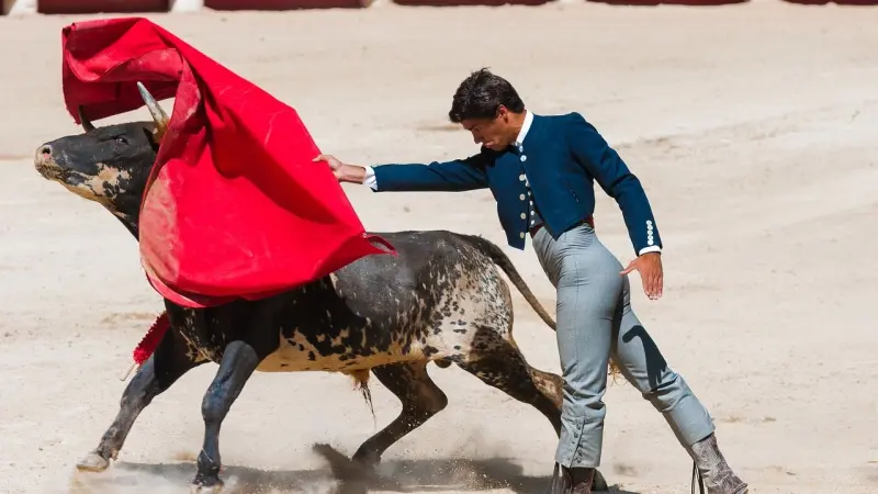 بعد جدل قانوني.. المكسيك تسمح بجولات مصارعة الثيران