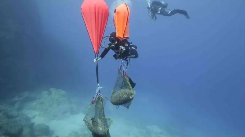 ممر غامض تحت البحر يكشف أسرار 2600 عام من الملاحة