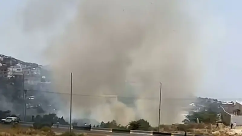 فيديو - ما أسباب حريق بلجرشي في السعودية؟