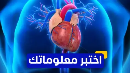 related_news_inside_blogsاختبر معلوماتك - ما هو العنصر الغذائي الأساسي لصحة القلب؟