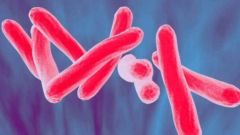 ما هو السل وما هي أعراضه؟