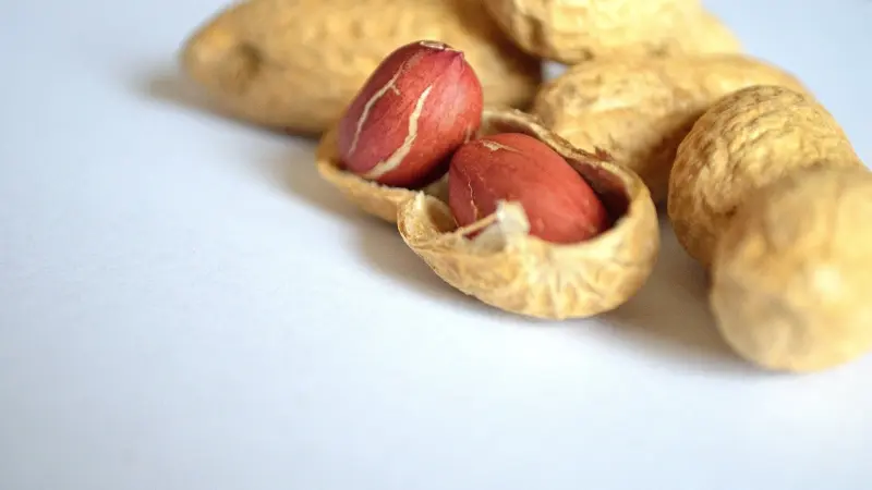 أستراليا تُطلق علاجاً لحساسية الفول السوداني