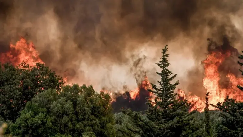 فيديو - حرائق أستراليا.. الرياح الحارة تأتي على الأخضر واليابس