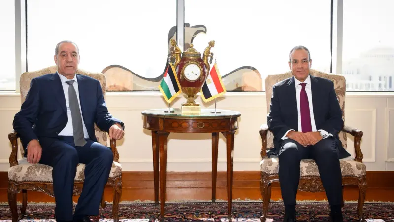 مصر تؤكد استمرار مساعيها لوقف الحرب في غزة