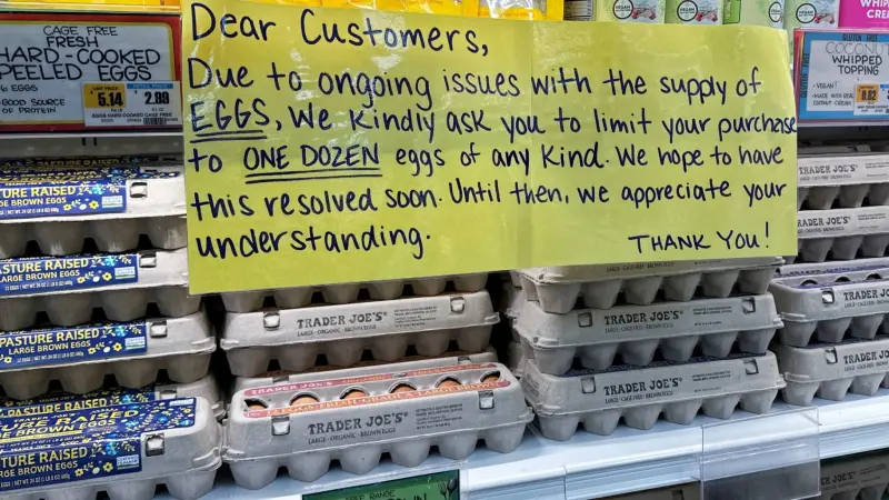 أميركا تُعاني من ارتفاع قياسي في أسعار البيض.. والسبب؟