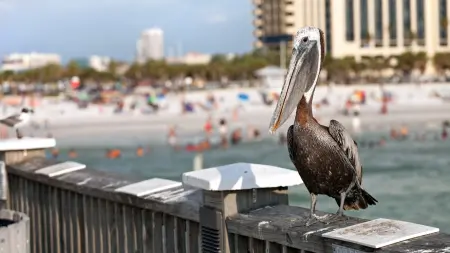 related_news_inside_blogsبعد انخفاض السياحة في أميركا.. هل ستنعشها بطولة كأس العالم؟