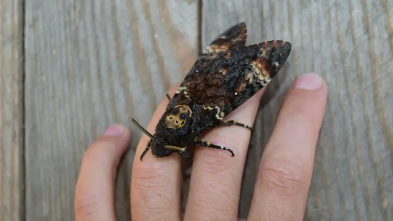 العالم أمام خطر صحي جديد.. هذه الأمراض تنتشر بسبب التغير المناخي