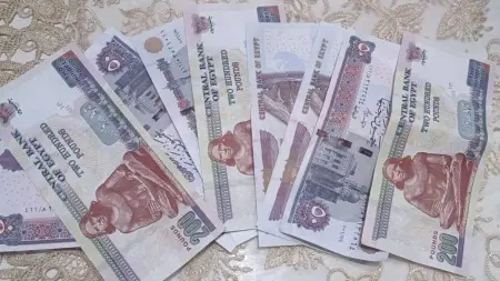 related_news_inside_blogsموعد صرف معاشات شهر أغسطس 2026.. جدول الصرف الرسمي في مصر