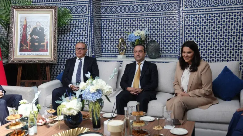 هل تأخرت المنصوري في تشكيل الحكومة المغربية؟