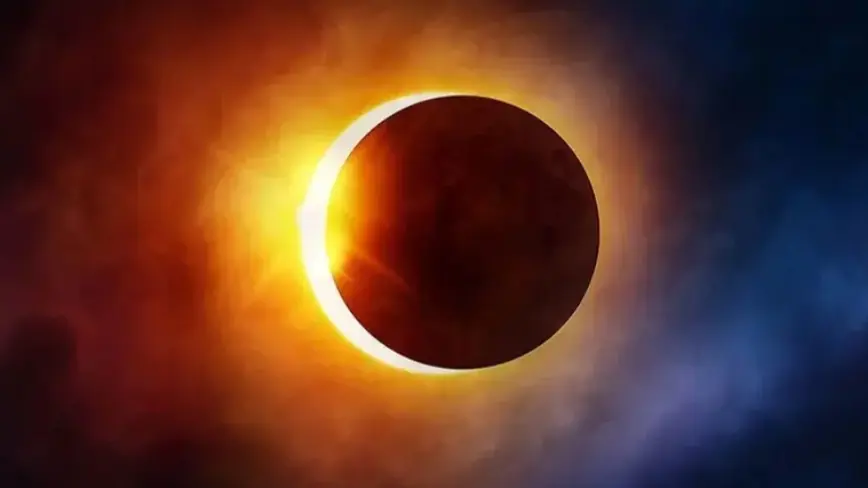 سلوك الحيوانات يختلف عند الكسوف الكلي للشمس (إكس) سلوك الحيوانات يختلف عند الكسوف الكلي للشمس (إكس)