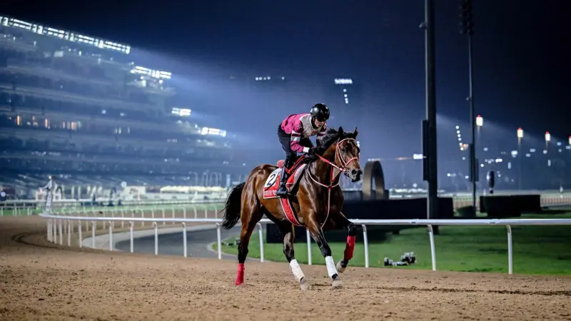 قيمة جوائز كأس دبي العالمي للخيول 2025.. البث المباشر لحظة بلحظة