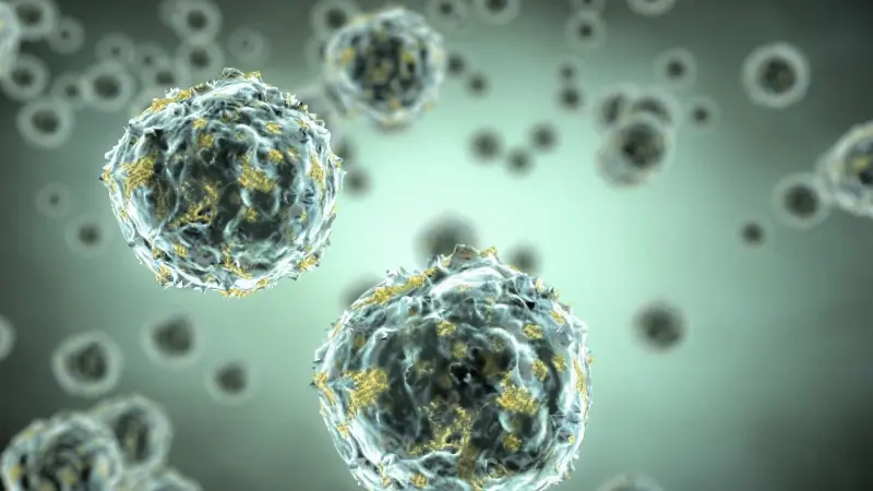 دراسة حديثة تكشف أسرار تغير الخلايا مع التقدم في العمر