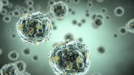 related_news_inside_blogsدراسة حديثة تكشف أسرار تغير الخلايا مع التقدم في العمر