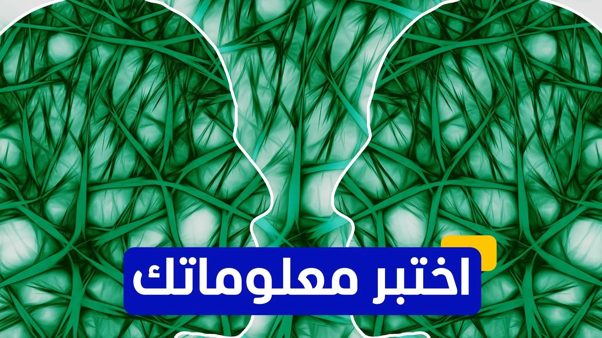 علماء يحددون خلايا عصبية تتحكم في النوم علماء يحددون خلايا عصبية تتحكم في النوم