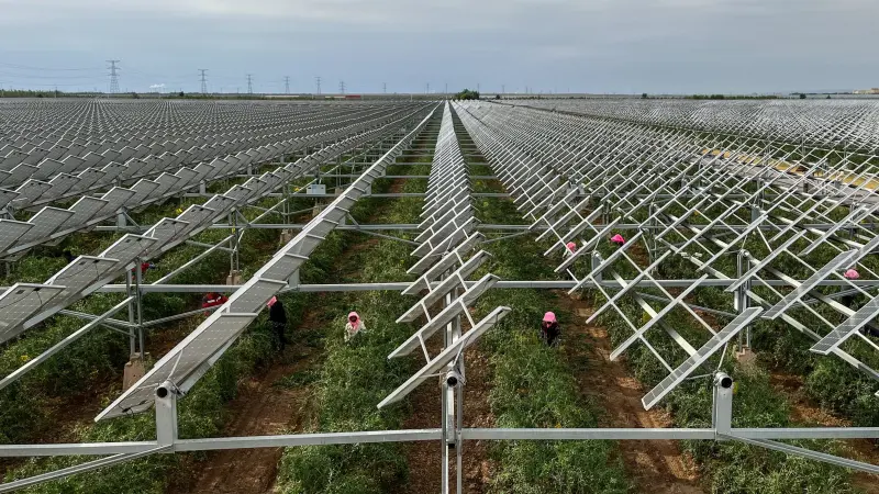 خطة الصين لـ2026.. تعزيز الاستهلاك وتوسع الاستثمار في القوى الإنتاجية