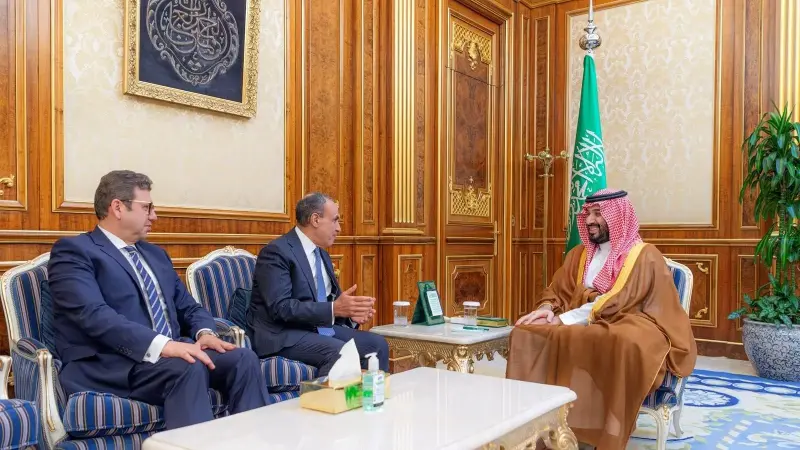 ولي عهد السعودية يبحث مع وزير الخارجية المصري التطورات الإقليمية