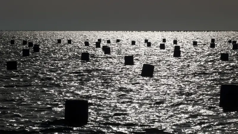 موت بطيء.. مجمع فوسفات يهدد الحياة في مدينة قابس التونسية