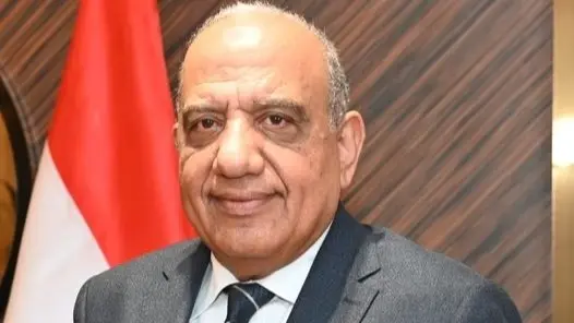 من هو محمود عصمت وزير الكهرباء الجديد؟ وزير قطاع الأعمال سابقًا
