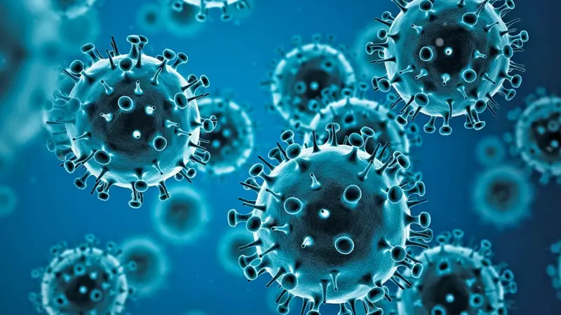 ينتقل عبر الطعام.. ما هو فيروس نورو؟