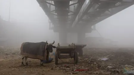 related_news_inside_blogsمياه شرب ملوثة في الهند تحصد قتلى وجرحى