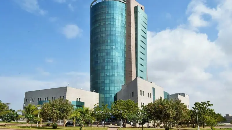 جامعة جازان تتصدر الاهتمام بعد تقدمها في تصنيف التايمز للجامعات 2026