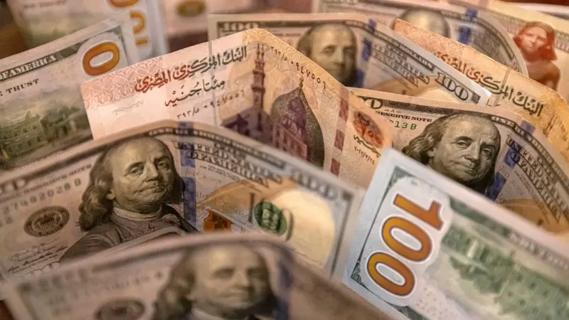 سعر الدولار مقابل الجنيه المصري اليوم الاثنين 8/6/2026.. هبوط العملة المحلية