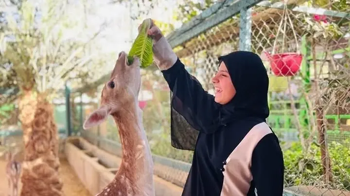 تكلفتها 10 ملايين دينار.. ما سبب إغلاق مزرعة السوسنة السوداء بالأردن؟