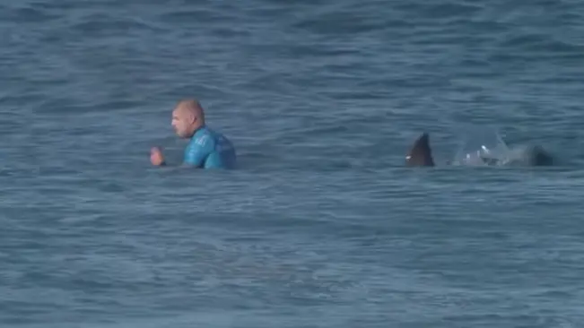 فيديو - سمكة قرش تهاجم بطلا في ركوب الأمواج.. ما القصة؟