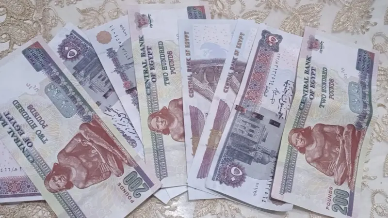 سعر الدولار الأميركي مقابل الجنيه المصري اليوم الثلاثاء 7/7/2026.. "الأخضر"دون 50 جنيها